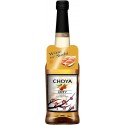 Wino śliwkowe Choya Dry 750 ml