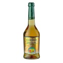 Wino śliwkowe 750 ml Choya Original