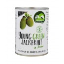 Jackfruit młody zielony słony NCH 540 g Wasabi Sushi Shop Wrocław Sklep Orientalny